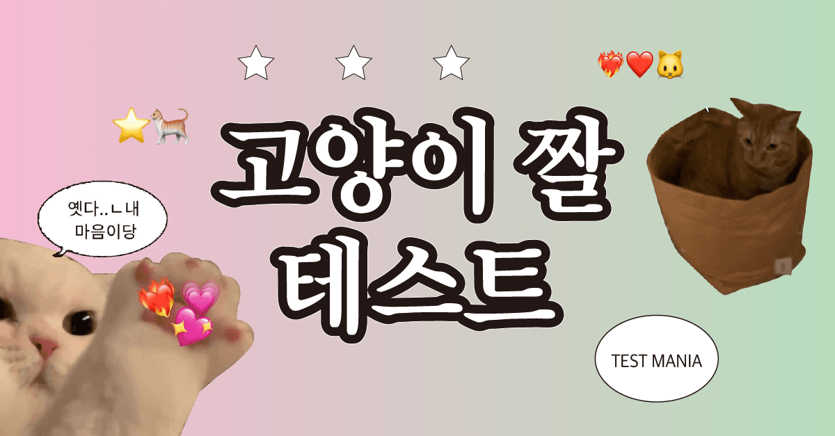 고양이 짤 테스트