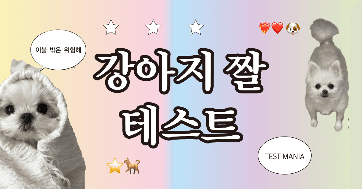 강아지 짤 테스트